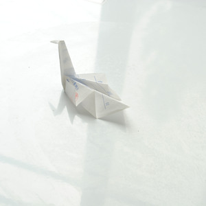 Designspiration profile picture for @sal
