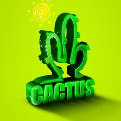 Designspiration profile picture for @cactus