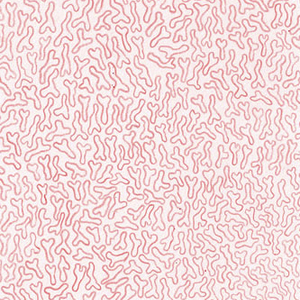Designspiration profile picture for @olivia
