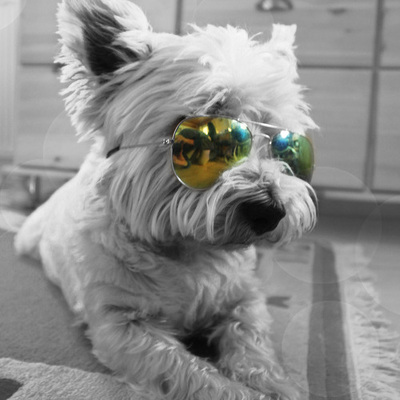 Designspiration profile picture for @sparkling