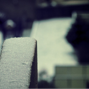 Designspiration profile picture for @muss