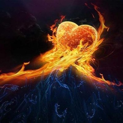 Designspiration profile picture for @viola