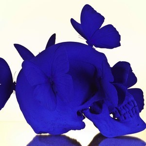 Designspiration profile picture for @adam