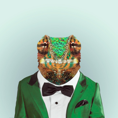 Designspiration profile picture for @premium