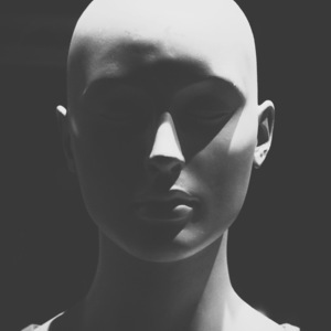 Designspiration profile picture for @chameleon