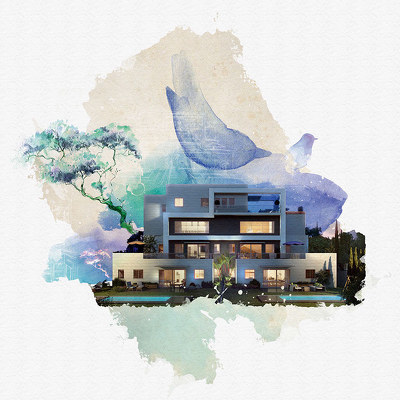 Designspiration profile picture for @untamed