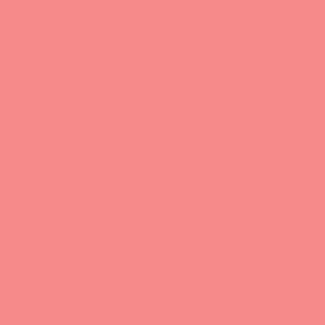 Designspiration profile picture for @irene