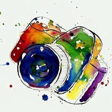 Designspiration profile picture for @tiger