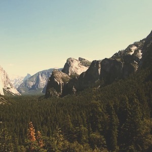 Designspiration profile picture for @tori
