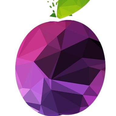 Designspiration profile picture for @prune