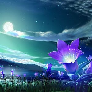 Designspiration profile picture for @ann