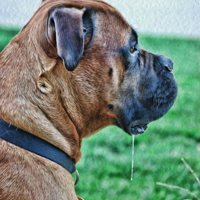 Designspiration profile picture for @wheels