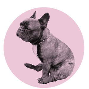 Designspiration profile picture for @rub