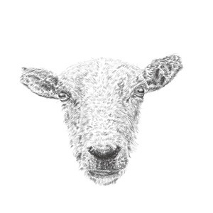 Designspiration profile picture for @abby