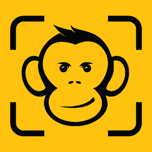 Designspiration profile picture for @monkey