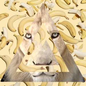 Designspiration profile picture for @shan