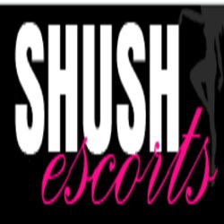 Designspiration profile picture for @shush