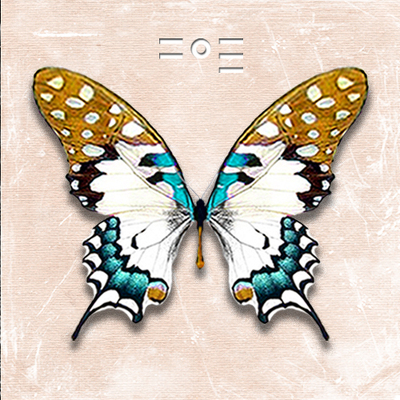 Designspiration profile picture for @fps