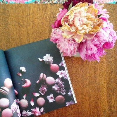 Designspiration profile picture for @yankee