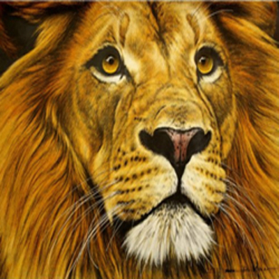 Designspiration profile picture for @inspire