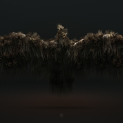 Designspiration profile picture for @coins