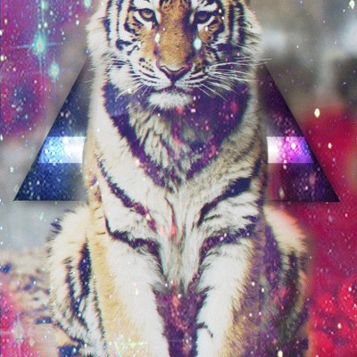 Designspiration profile picture for @april