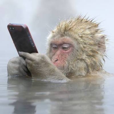 Designspiration profile picture for @propaganda