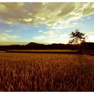 Designspiration profile picture for @hemp