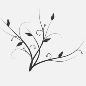 Designspiration profile picture for @ctr