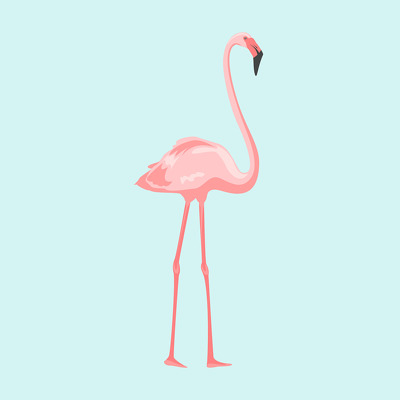 Designspiration profile picture for @pink