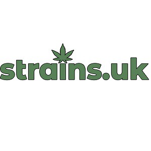 Designspiration profile picture for @strains
