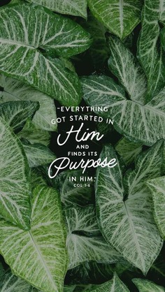 Everything Got Started in Him and Finds its Purpose in Him