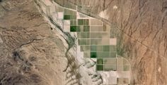 DryRoatedEdamame #agriculture #from #a #arizona #landscape #plane #google #view #maps