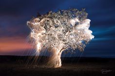 Long Exposure Light Painting Landscapes with Fireworks by Vitor Schietti