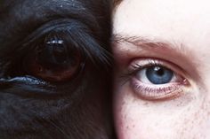 thebeautyoficeland-8 #eyes #photo #horse #freckles