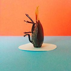 Specialmagazin #stag-beetle #photo #bug #orange #halfbug #horn #animal