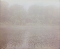 fieldguided — photographic print, fog 1, 6x8 #fog #photographic #print #feild #guided