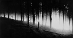 ROBERT LONGO - Works - THE MYSTERIES, 2009 - Untitled (Et In Arcadia Ego) #blackwhite #white #robert #longo #black #and #mysteries #forest