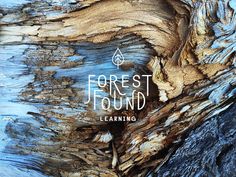 Forest Found brand identity nature natural tree ecological eco branding green brow beautiful minimal mindsparkle mag inspire inspiration www