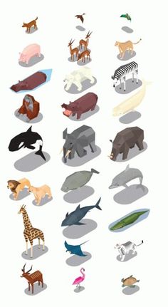 Rob Bailey #illustration #zoo #animal