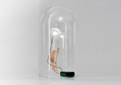 April and May: Dandelight by Lonneke Gordijn #product #design #light