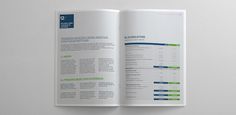 Caixa BI Annual Report on Behance #print #annual #grid #report #layout #chart