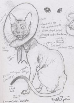 tumblr_m4lcmfdCO71r1iid8o1_1280.jpg (784×1088) #jones #drawing #cat #concept #traditional #monster #pencil #raven #sketch