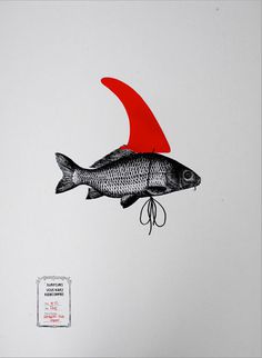 Xabier Zirikiain #print #fish #minimal #fin