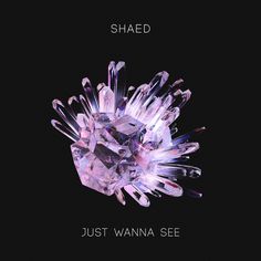 SHAED - Just Wanna See Artwork by Quentin Deronzier