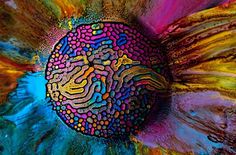 Millefiori #ink #colours #paint #photography #magnetic