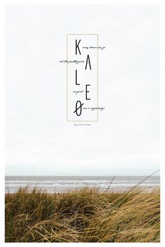 kaleo band poster, band, poster design, poster, music album, fan art, album, music, graphic design, simple design, clean design, nature, nat
