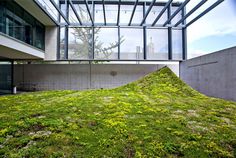 Green Varnish by Nomad Studio - #outdoor, #architecture, #landscaping, outdoor, architecture