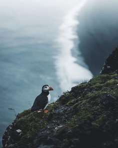 Breathtaking Adventure and Landscape Photography by Max Muench