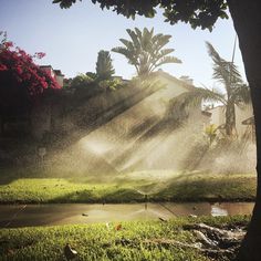 #sprinkler #water #lawn #grass #sidewalk #residential #house #sky